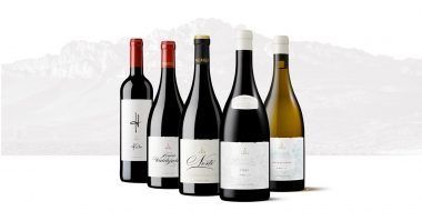 99 puntos de la Guía Proensa para algunos vinos de Bodegas Pujanza